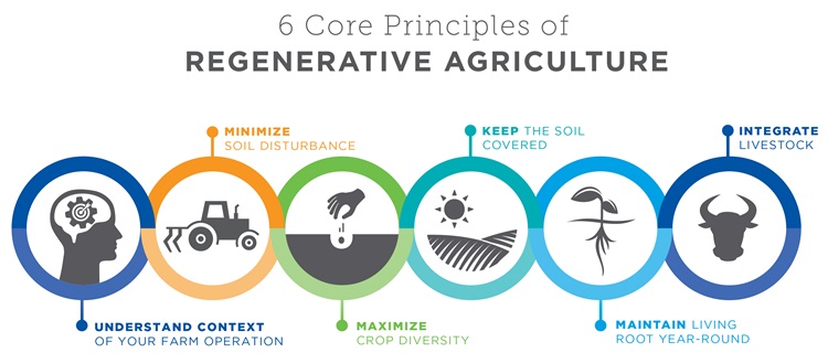 Six core principles of regenerative agriculture appearing in images with text explaining each listed below. 
