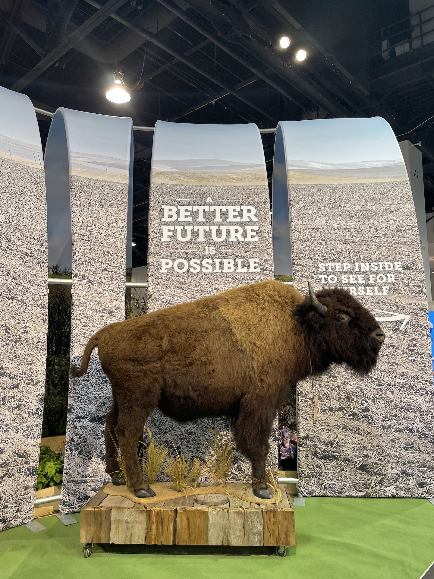Bison statue below the words "A Better Future is Possible" at our regenerative agriculture booth